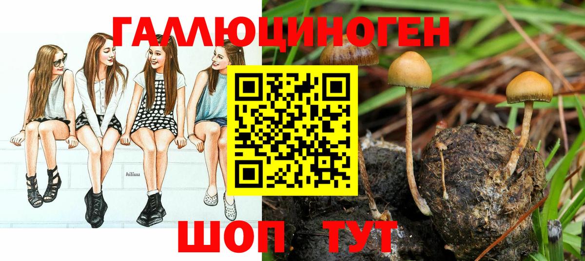 Галлюциногенные грибы GOLDEN TEACHER Анапа